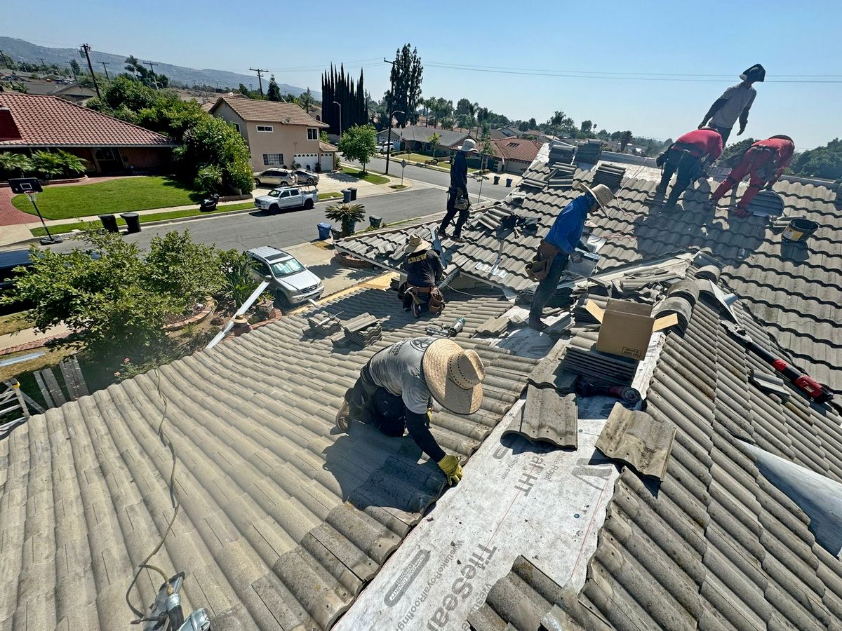 “My Local Roofer, CA project (7)