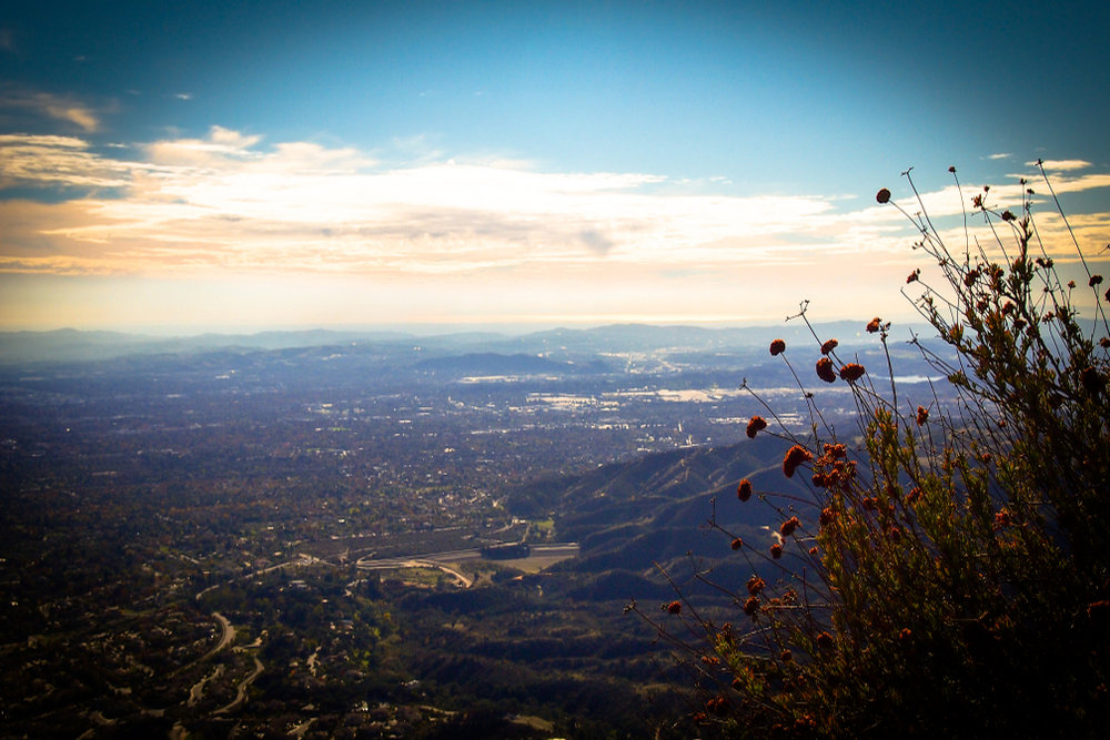 Professional Commercial Roofing Solutions in Claremont, CA