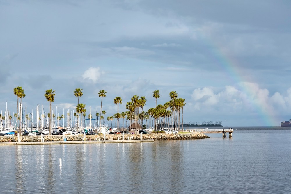 Expert Roof Repair Services in Long Beach, CA